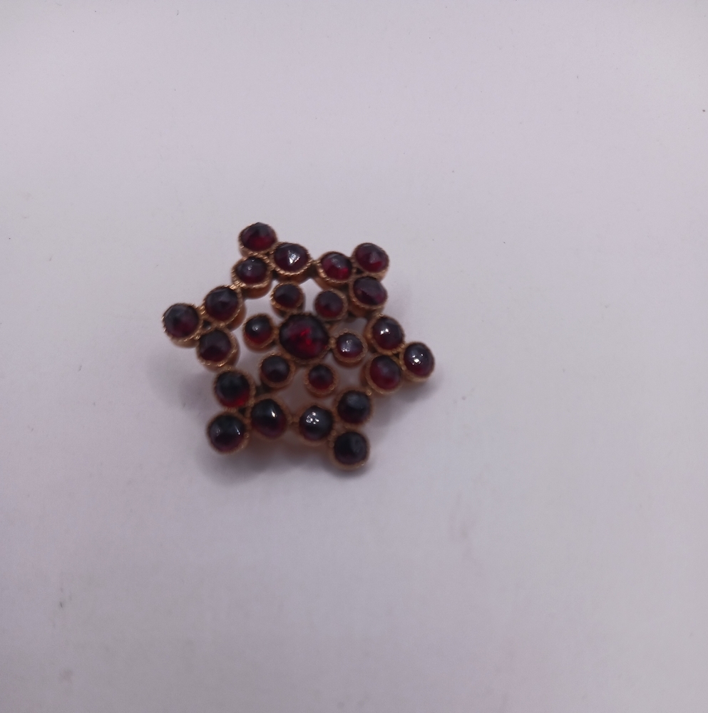 10kt Yellow Gold and Bohemian garnets pin